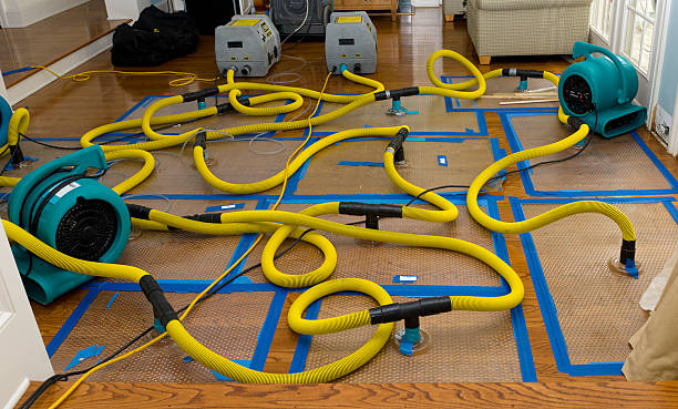 Professional Water Damage Restoration technician working in Ambridge, PA